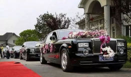 豪华车队震惊中央视频,中央视频记录非凡时刻